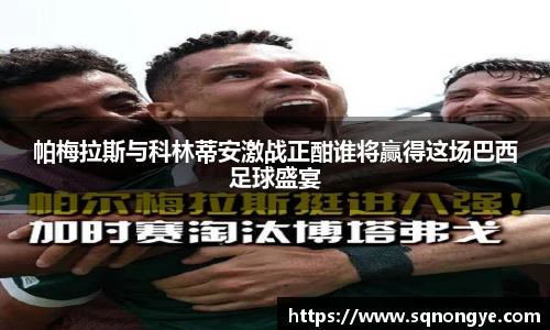 帕梅拉斯与科林蒂安激战正酣谁将赢得这场巴西足球盛宴